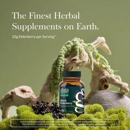 Gaia Herbs Black Elderberry – Daily Immune Support Capsules with Acerola (120 Vegan Capsules, 60 Servings) BritishVita | Premium UK Vitamins & Wellness Supplements