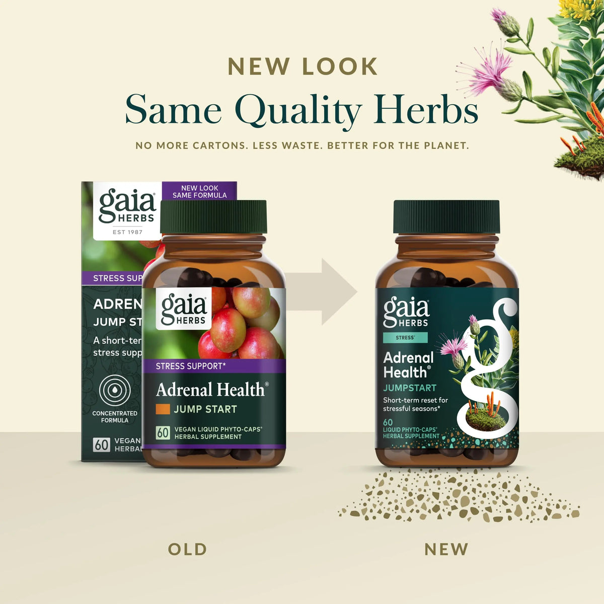 Gaia Herbs Adrenal Health Jumpstart | Adaptogenic Blend for Energy & Stress Support | 60 Vegan Liquid Phyto-Capsules BritishVita | Premium UK Vitamins & Wellness Supplements
