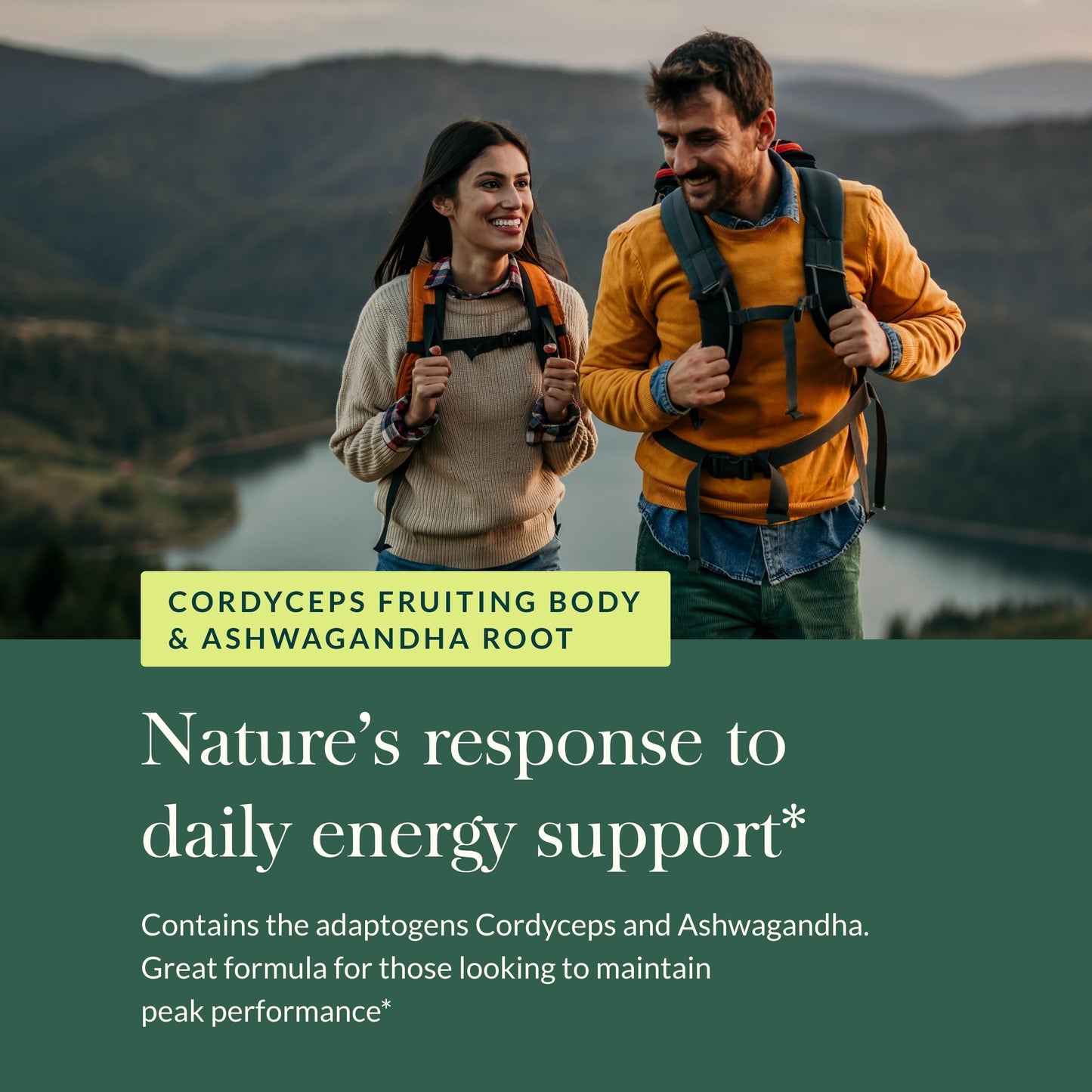 Gaia Herbs Adaptogen Performance Mushrooms & Herbs – Energy Support (60 Vegan Capsules)