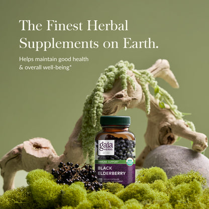 Gaia Herbs Black Elderberry - Daily Immune Support | 60 Vegan Capsules