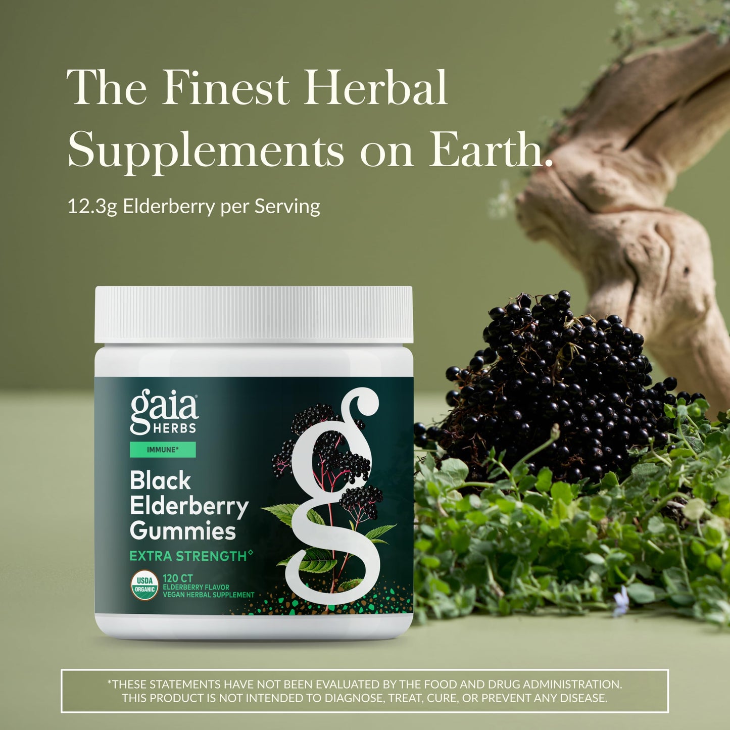 Gaia Herbs Black Elderberry Gummies - Extra Strength Immune Support (120 Gummies)