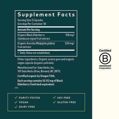 Gaia Herbs Black Elderberry - Daily Immune Support | 60 Vegan Capsules