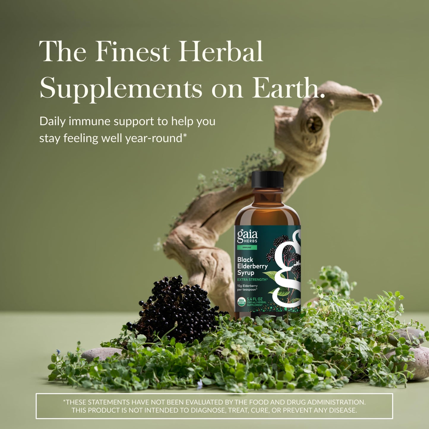 Gaia Herbs Black Elderberry Syrup - Immune Support - Organic Sambucus nigra - 5.4 Fl Oz (32-Day Supply) - USDA Certified Organic