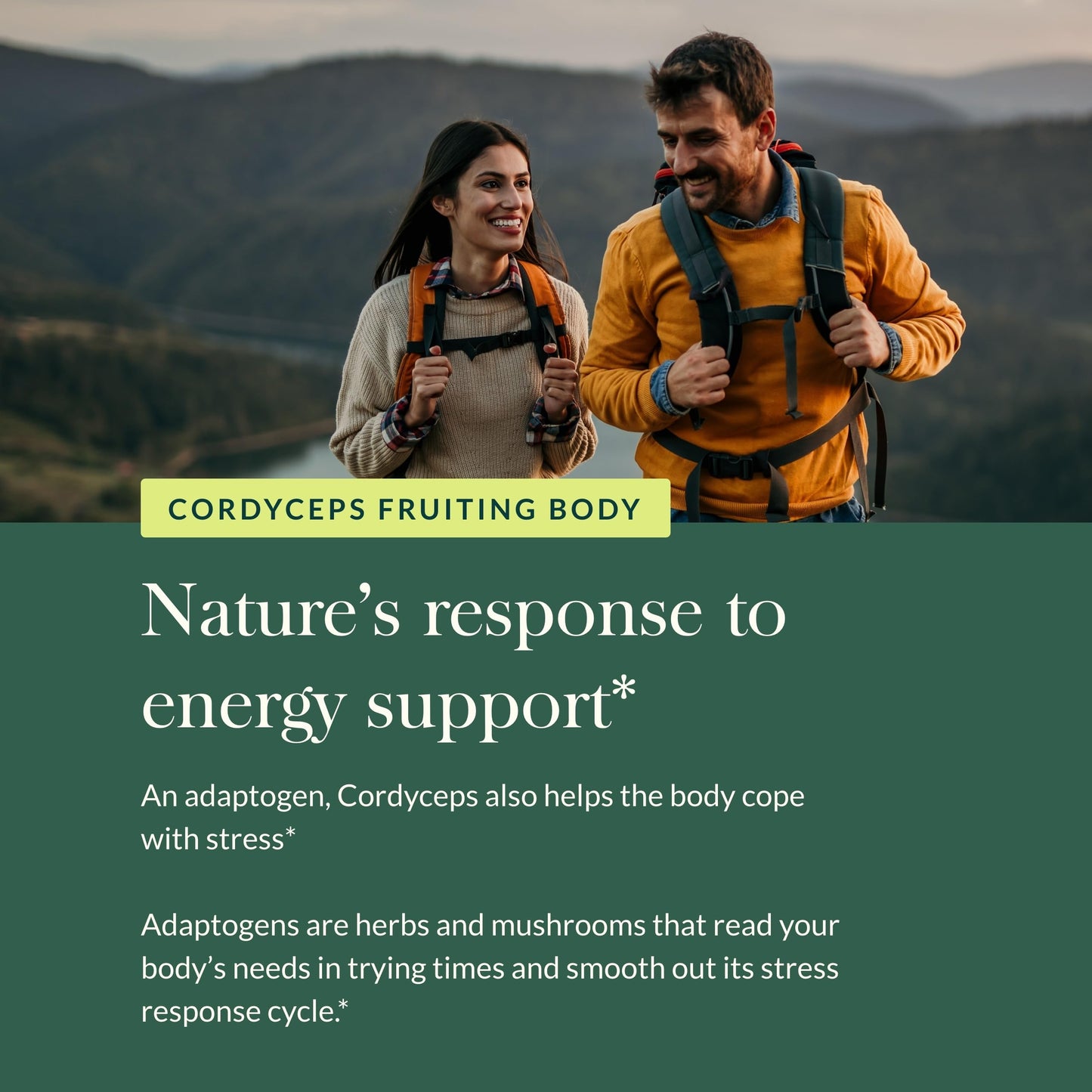 Gaia Herbs Cordyceps Mushroom – Energy & Endurance Support (40-Day, Vegan)