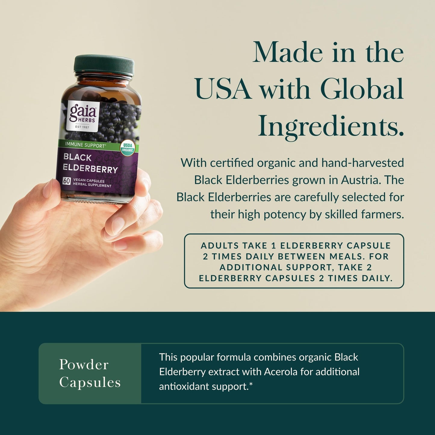 Gaia Herbs Black Elderberry - Daily Immune Support | 60 Vegan Capsules
