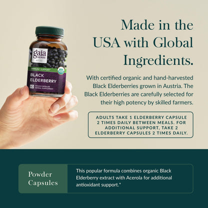 Gaia Herbs Black Elderberry - Daily Immune Support | 60 Vegan Capsules