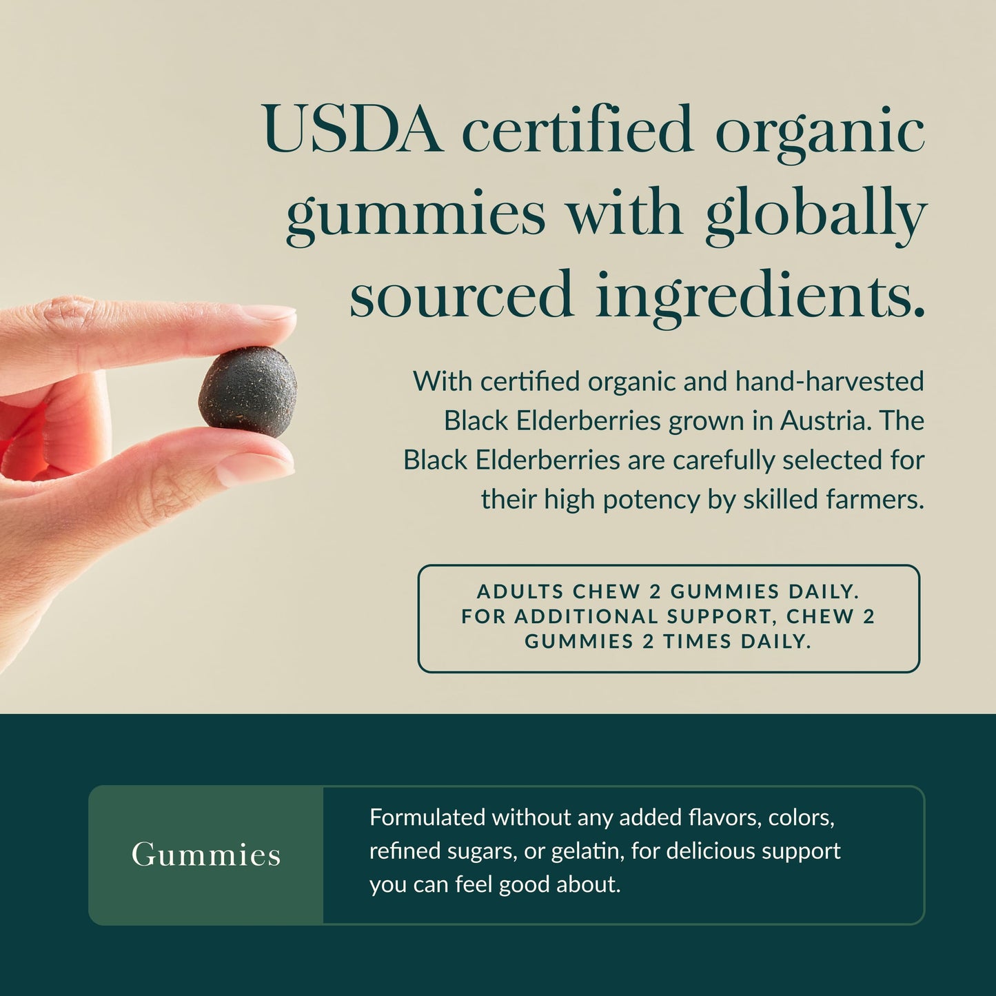 Gaia Herbs Black Elderberry Gummies - Extra Strength Immune Support (120 Gummies)