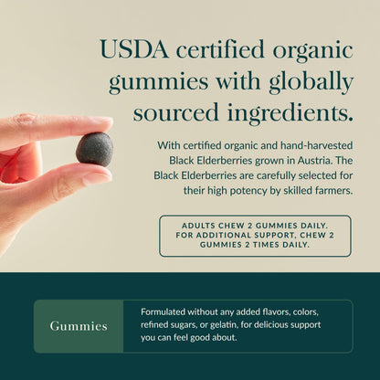 Gaia Herbs Black Elderberry Gummies - Extra Strength Immune Support (120 Gummies)