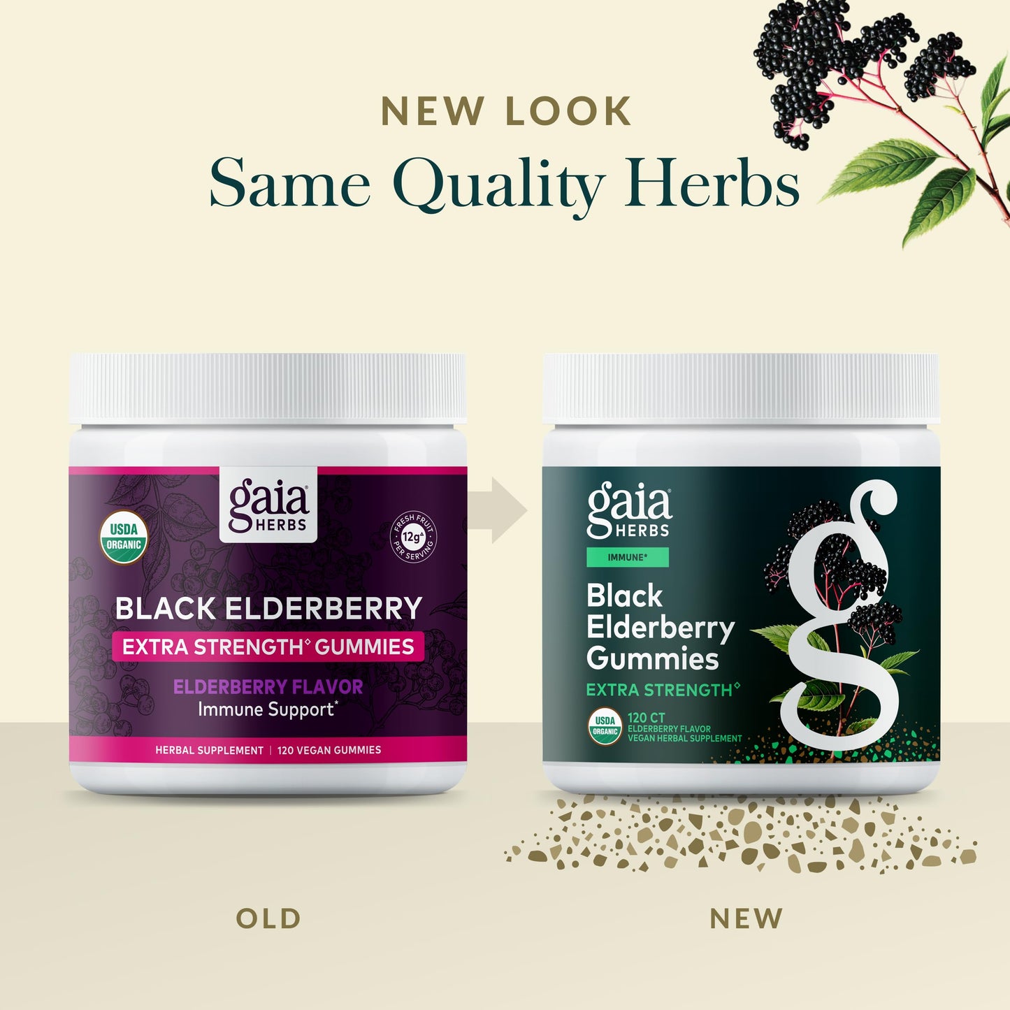 Gaia Herbs Black Elderberry Gummies - Extra Strength Immune Support (120 Gummies)