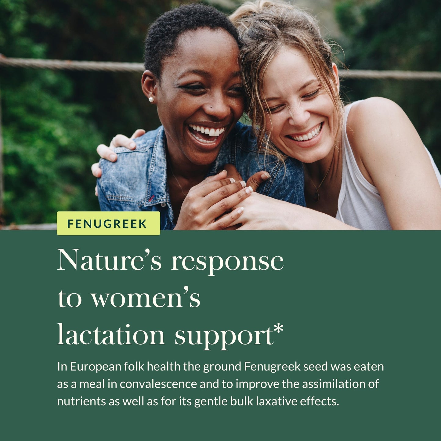 Gaia Herbs Fenugreek Seed – Supports Lactation & Breast Milk Production | 60 Vegan Capsules