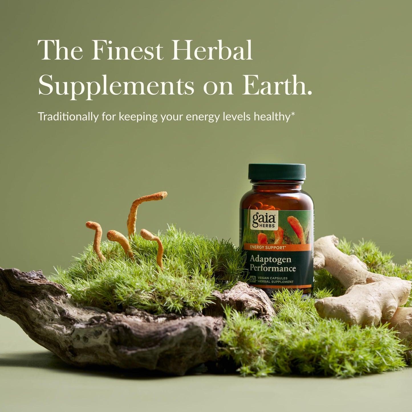 Gaia Herbs Adaptogen Performance Mushrooms & Herbs – Energy Support (60 Vegan Capsules)