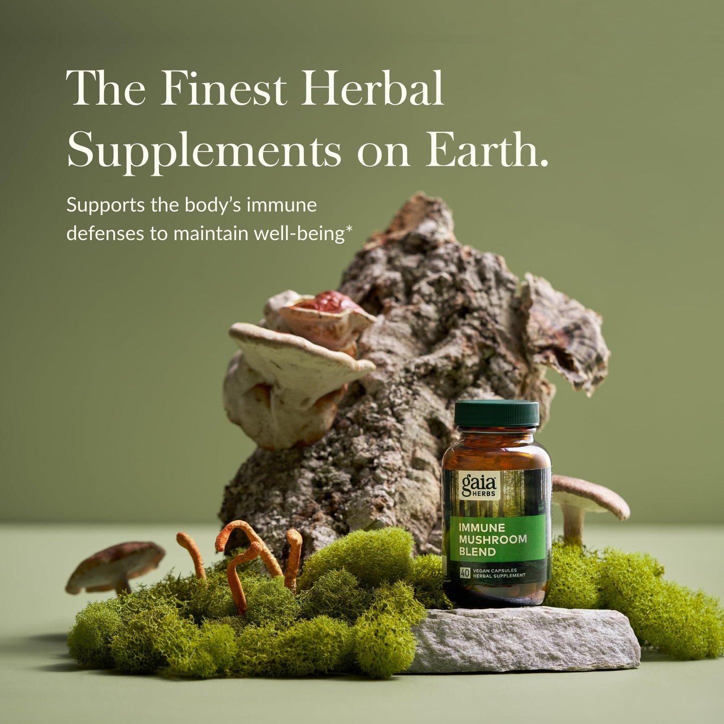 Gaia Herbs Immune Mushroom Blend – Immune Support (40 Vegan Capsules)