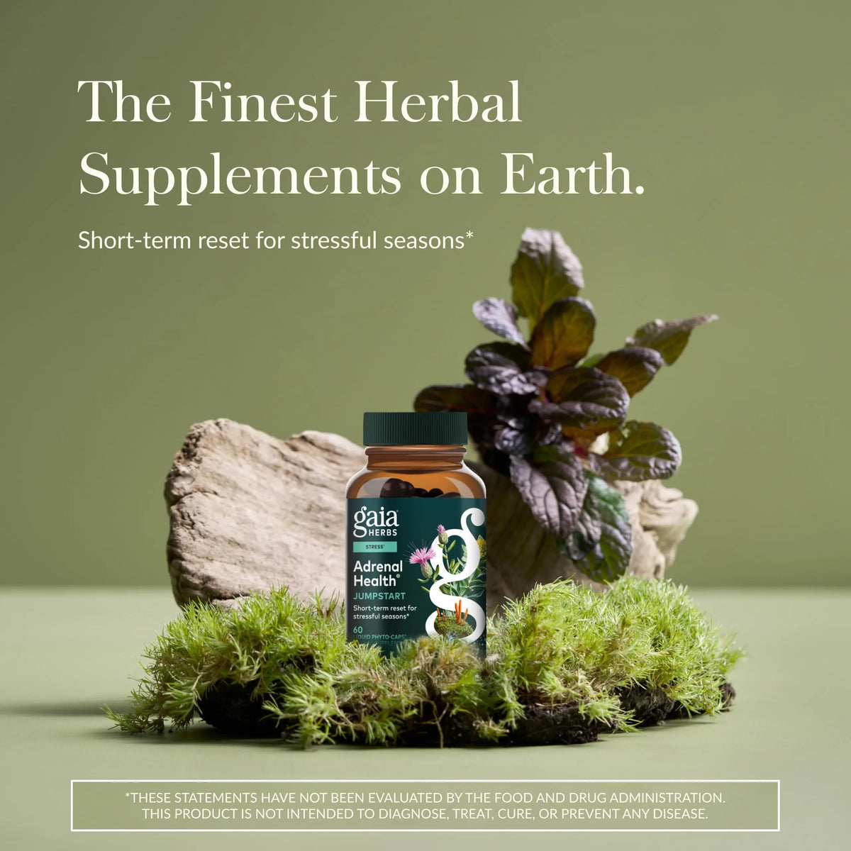 Gaia Herbs Adrenal Health Jumpstart | Adaptogenic Blend for Energy & Stress Support | 60 Vegan Liquid Phyto-Capsules BritishVita | Premium UK Vitamins & Wellness Supplements