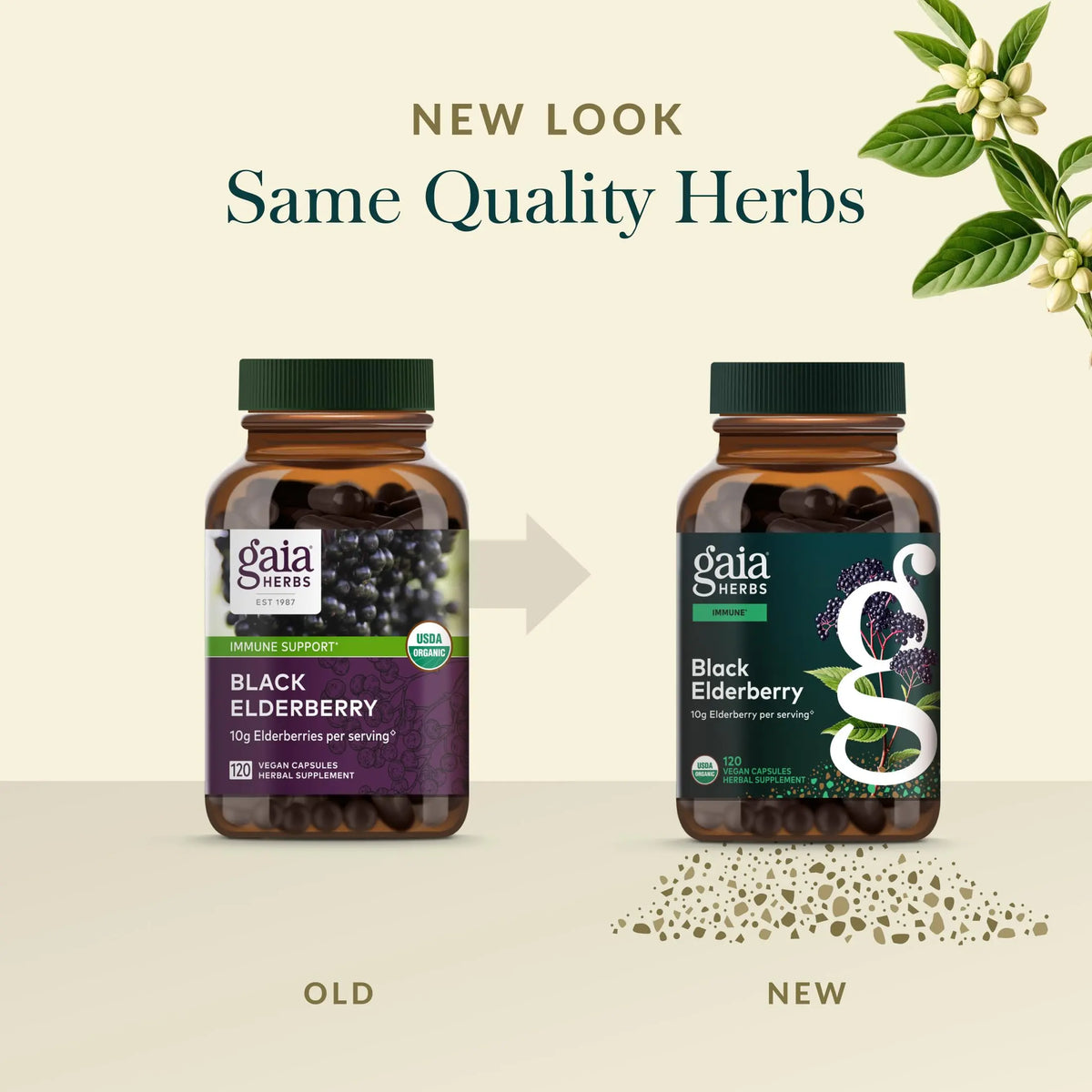 Gaia Herbs Black Elderberry – Daily Immune Support Capsules with Acerola (120 Vegan Capsules, 60 Servings) BritishVita | Premium UK Vitamins & Wellness Supplements