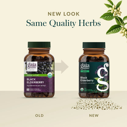 Gaia Herbs Black Elderberry – Daily Immune Support Capsules with Acerola (120 Vegan Capsules, 60 Servings) BritishVita | Premium UK Vitamins & Wellness Supplements