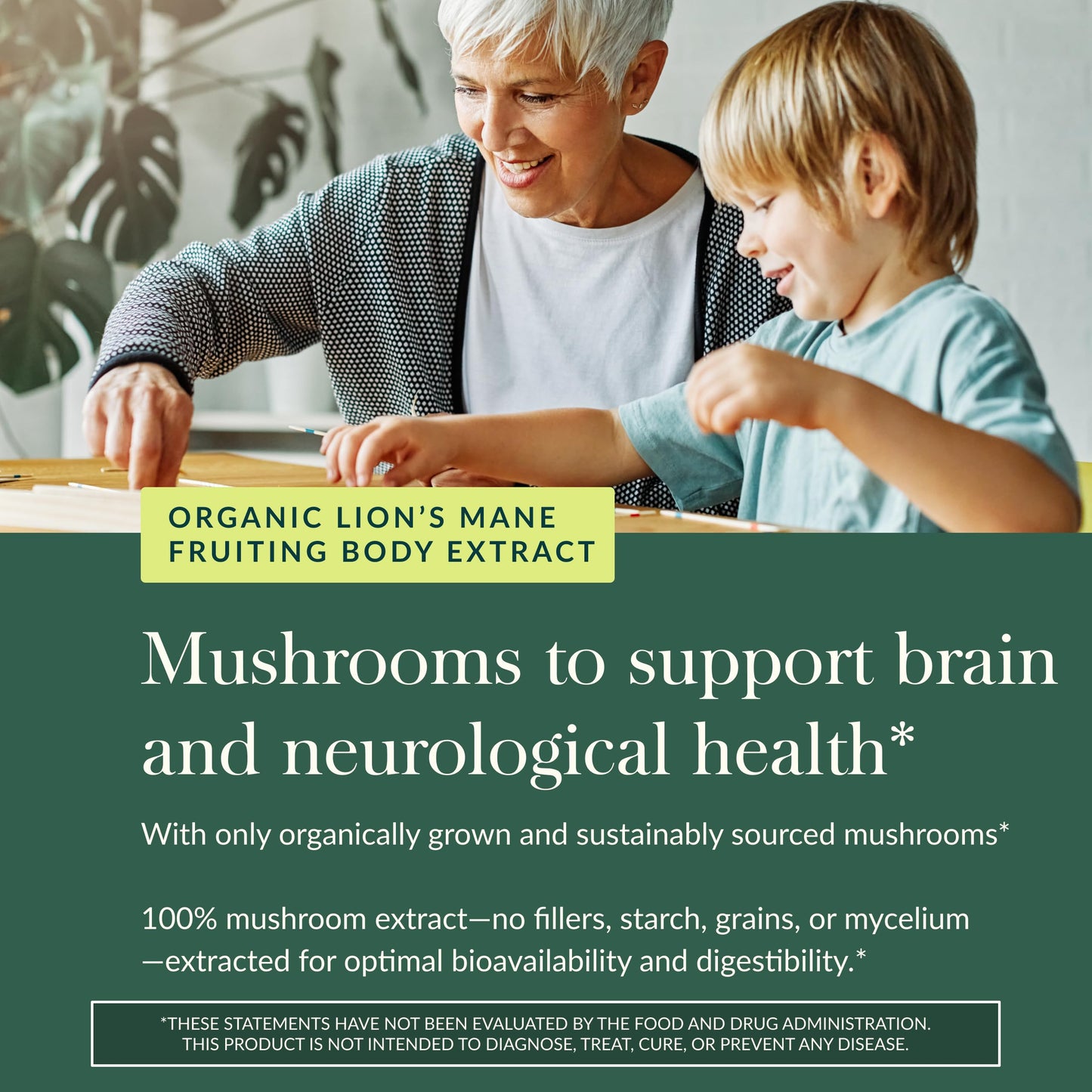 Gaia Herbs Lion's Mane Mushroom – Organic Brain Support Gummies, Gluten Free, Soy Free & Dairy Free, 60 Vegan Gummies (30 Servings)
