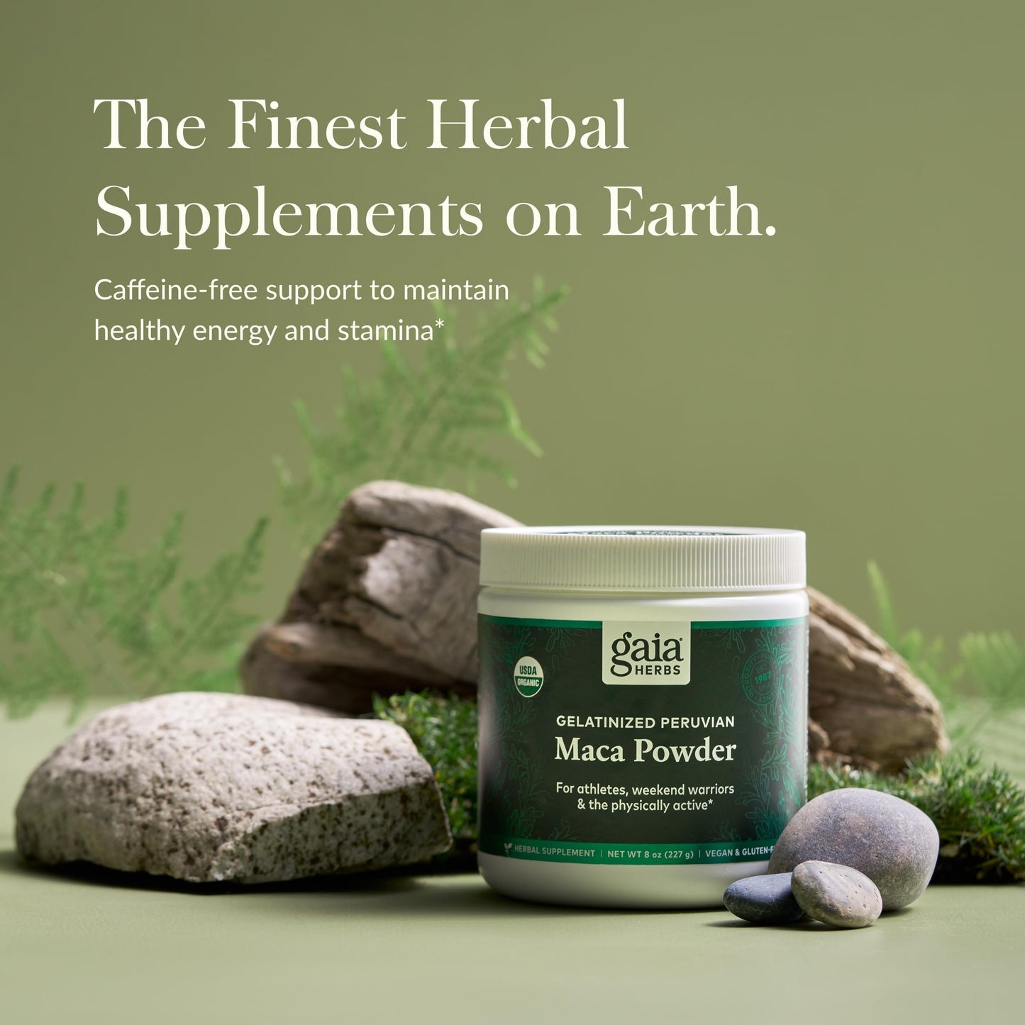 Gaia Herbs Maca Powder – Organic Energy & Stamina (8 oz, 69-Day Supply)