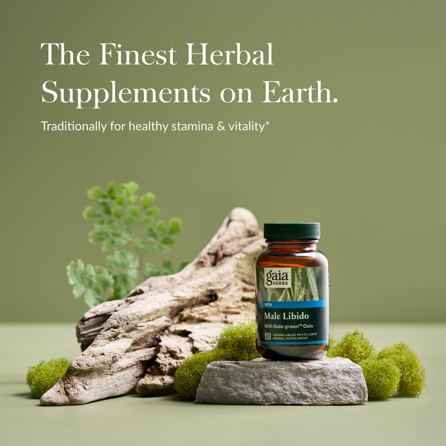 Gaia Herbs Male Libido - Herbal Supplement with Saw Palmetto, Horny Goat Weed, Maca & Oats - Supports Stamina, Vitality & Hormone Balance for Men - 60 Vegan Liquid Phyto-Capsules (20-Day Supply)