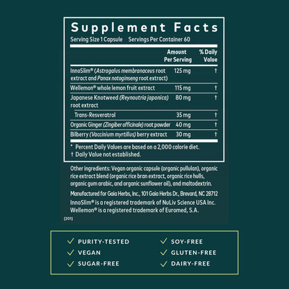 Gaia Herbs Metabolic Activator – Natural Energy & Metabolism Support with Panax Notoginseng & Astragalus (60 Capsules, 60 Servings) – Vegan & Dairy-Free