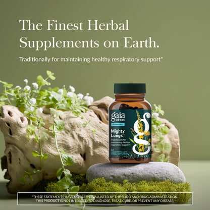 Gaia Herbs Mighty Lungs - Lung Support Supplement with Traditional Respiratory Herbs | 60 Vegan Liquid Phyto-Capsules (30-Day)