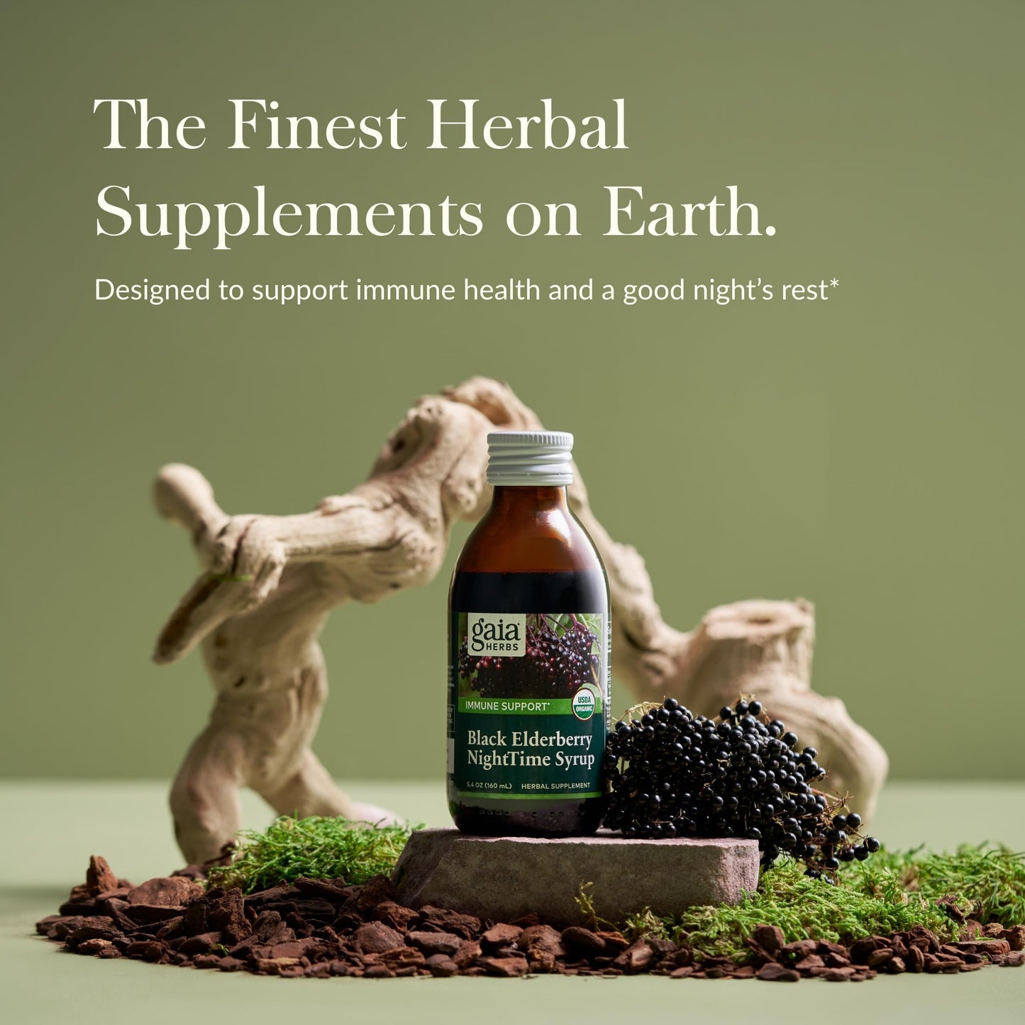 Gaia Herbs Black Elderberry NightTime Syrup – Immune Support & Restful Sleep | 5.4 Fl Oz (32-Day Supply)