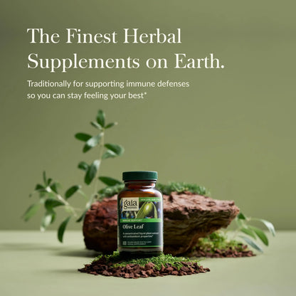 Gaia Herbs Olive Leaf - Traditional Immune Support with Oleuropein | 120 Vegan Liquid Phyto-Caps BritishVita | Premium UK Vitamins & Wellness Supplements