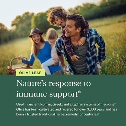 Gaia Herbs Olive Leaf - Traditional Immune Health Support | 60 Vegan Liquid Phyto-Caps