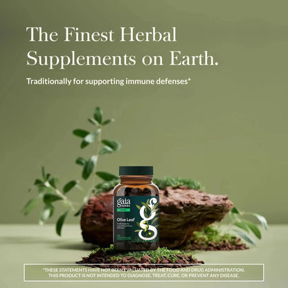 Gaia Herbs Olive Leaf - Traditional Immune Support with Oleuropein | 120 Vegan Liquid Phyto-Caps BritishVita | Premium UK Vitamins & Wellness Supplements