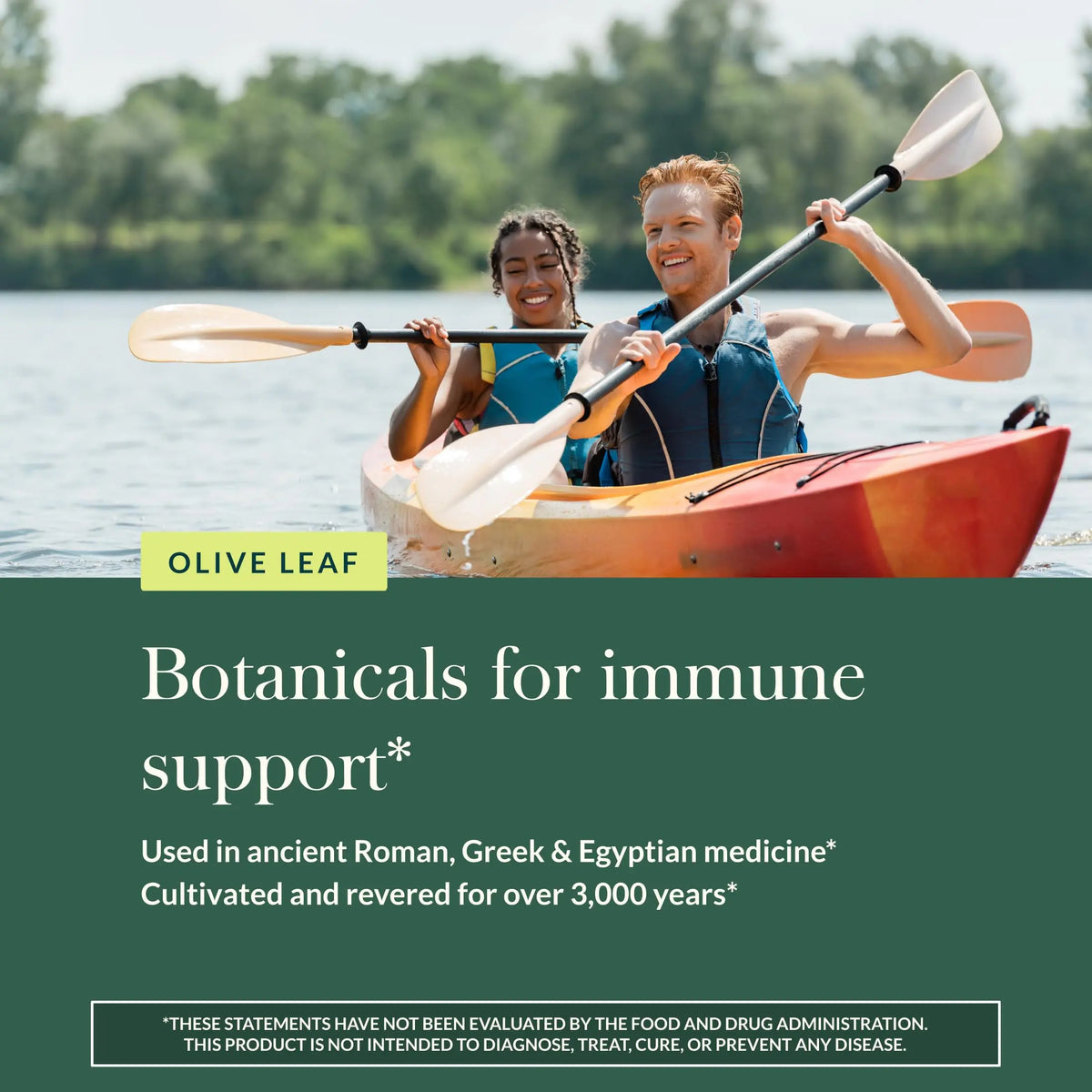 Gaia Herbs Olive Leaf - Traditional Immune Support with Oleuropein | 120 Vegan Liquid Phyto-Caps BritishVita | Premium UK Vitamins & Wellness Supplements