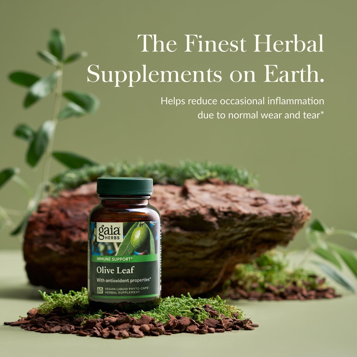 Gaia Herbs Olive Leaf - Traditional Immune Health Support | 60 Vegan Liquid Phyto-Caps