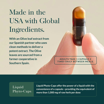 Gaia Herbs Olive Leaf - Traditional Immune Support with Oleuropein | 120 Vegan Liquid Phyto-Caps BritishVita | Premium UK Vitamins & Wellness Supplements