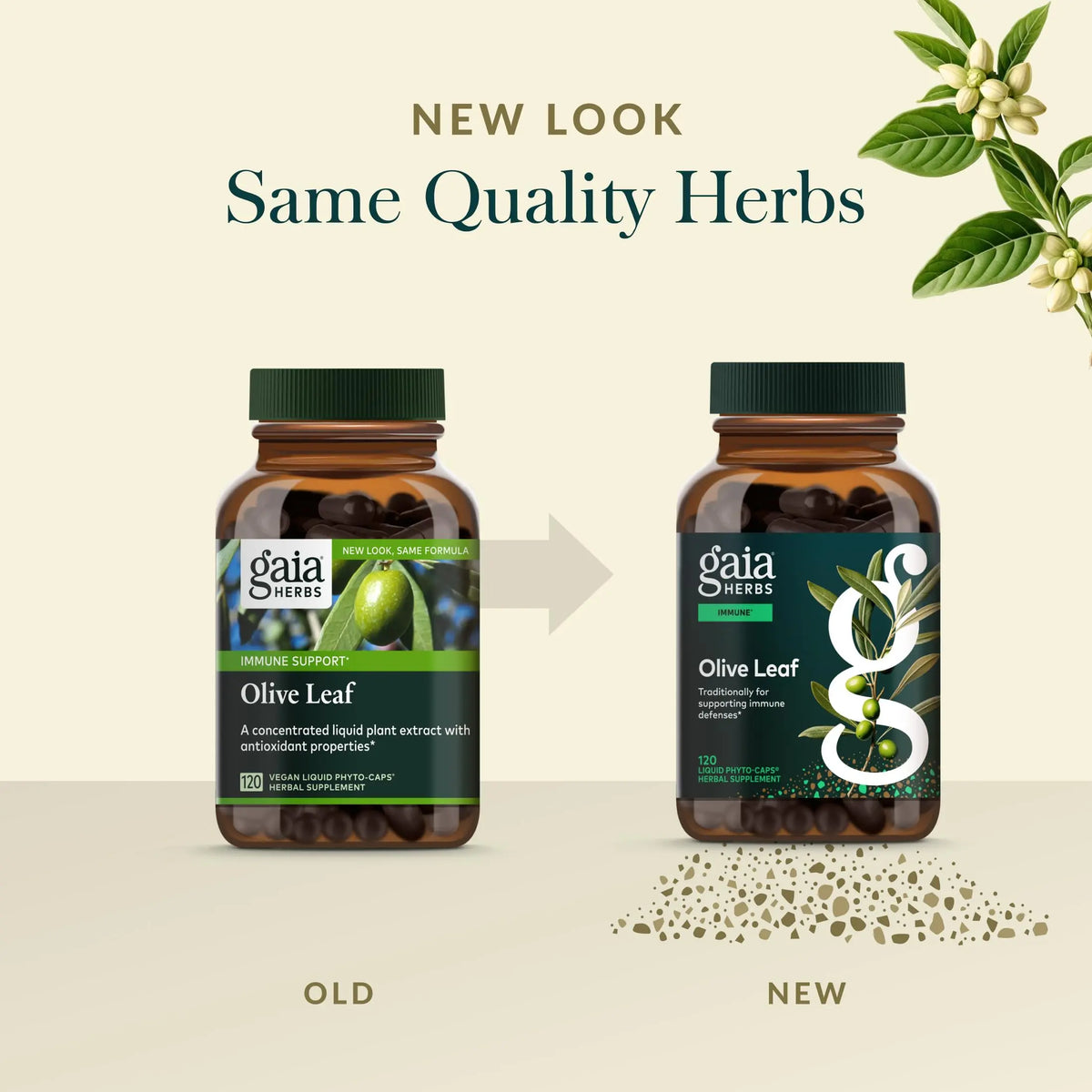 Gaia Herbs Olive Leaf - Traditional Immune Support with Oleuropein | 120 Vegan Liquid Phyto-Caps BritishVita | Premium UK Vitamins & Wellness Supplements