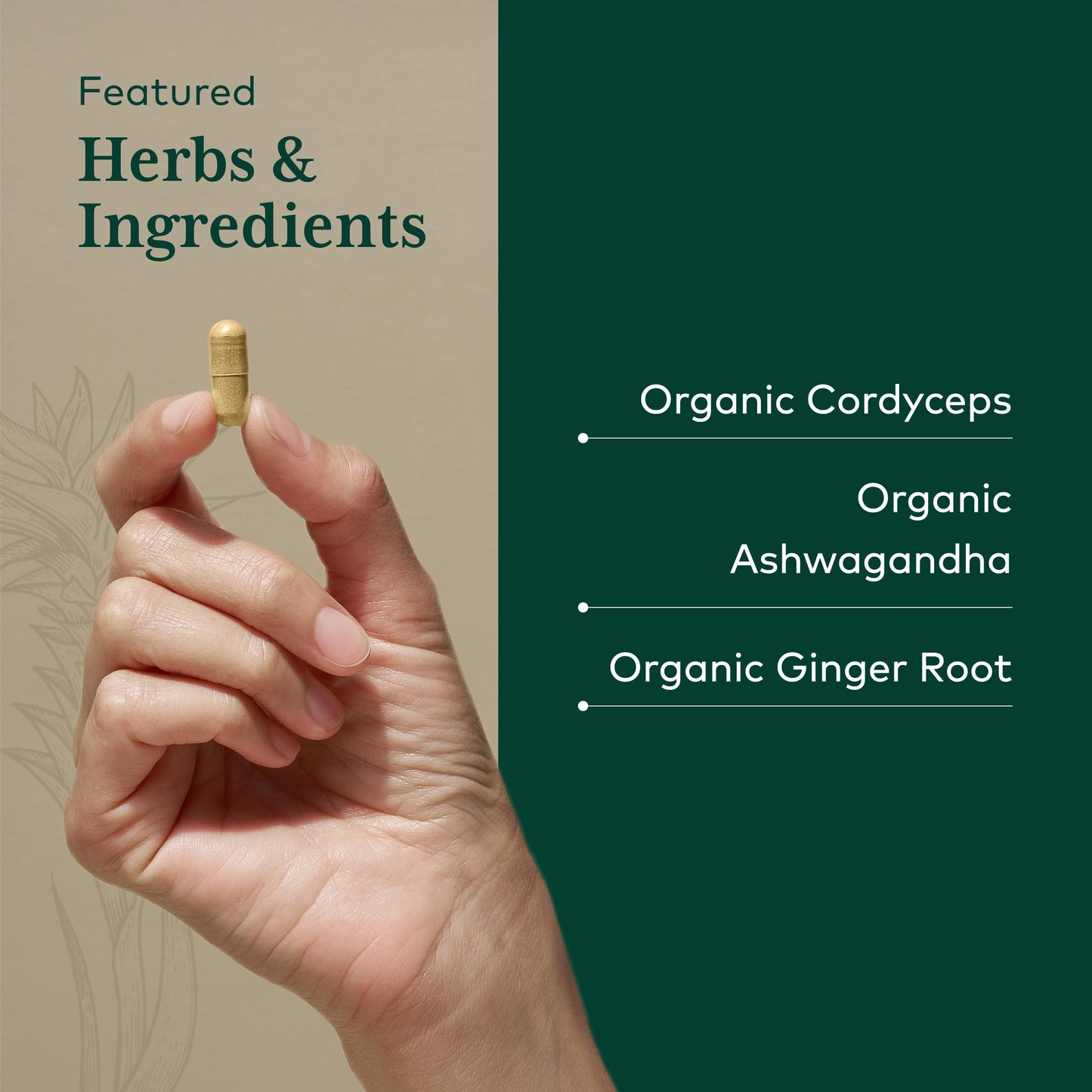 GAIA HERBS PRO Adaptogen Performance - Endurance & Energy Support with Cordyceps & Ashwagandha (120 Capsules, 60 Servings)