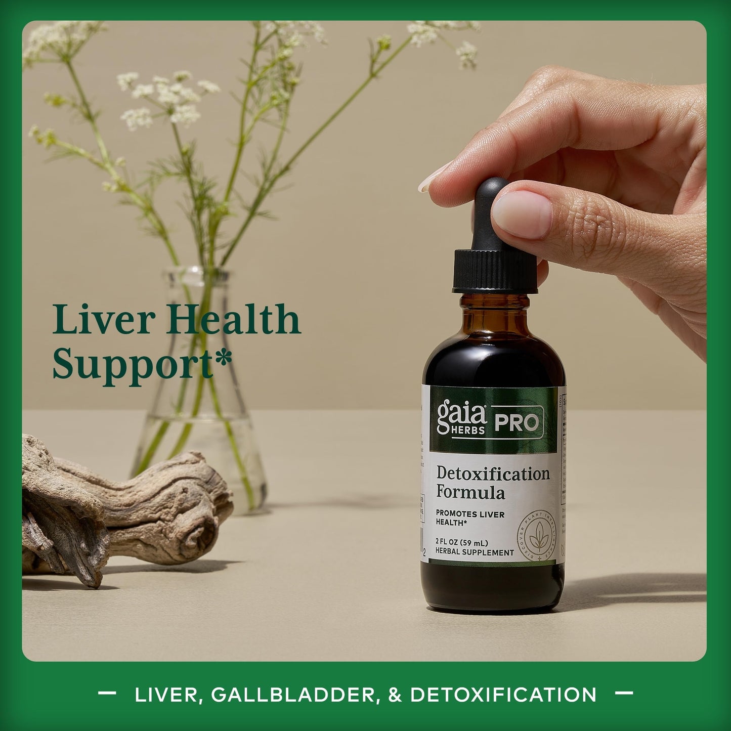 GAIA HERBS PRO Detoxification Formula – Liver Health & Detox Support – Milk Thistle, Yellow Dock & More – 2 fl oz (30 Servings)