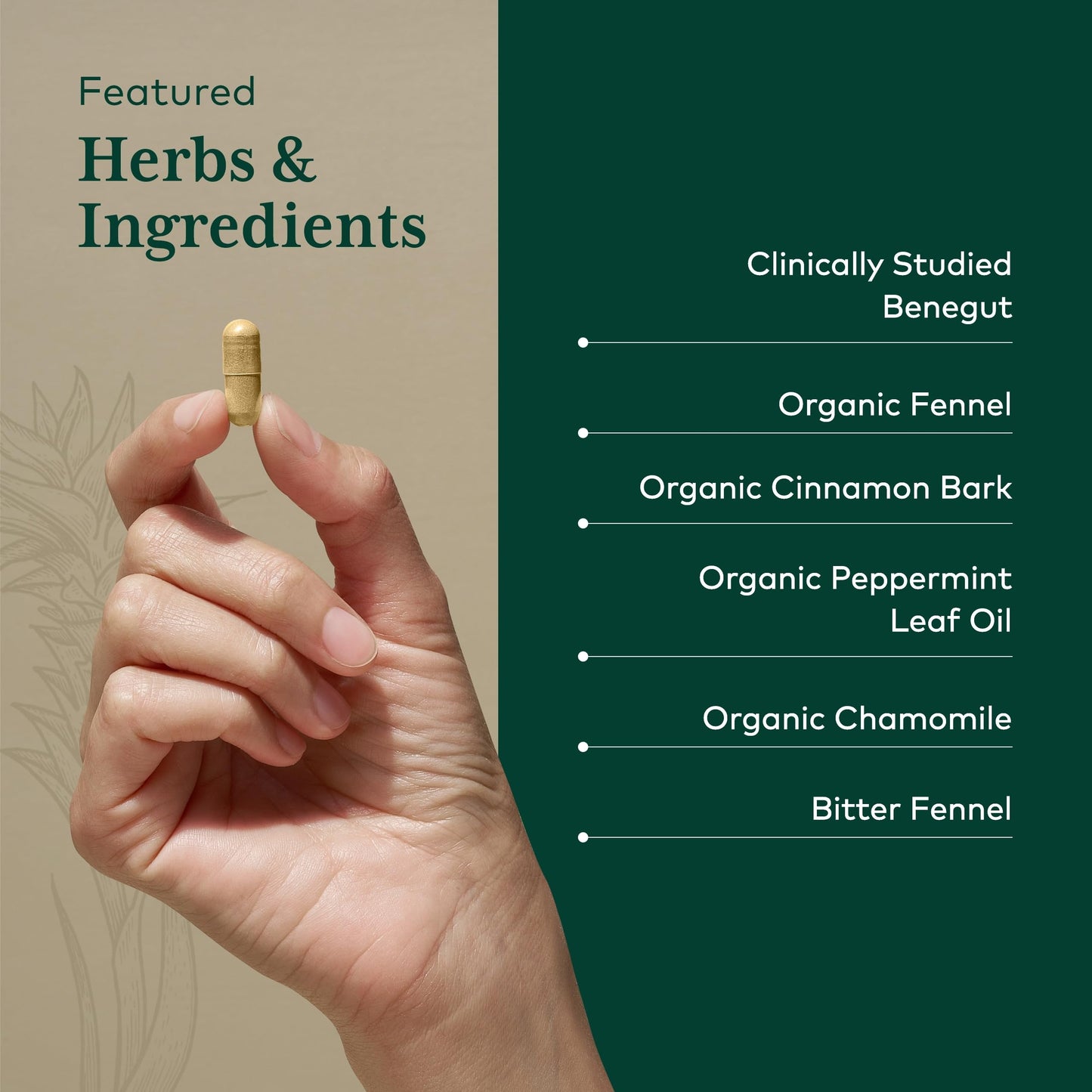 GAIA Herbs PRO GI-BFF Digestive Health | Benegut, Organic Fennel & Cinnamon Bark - 60 Caps
