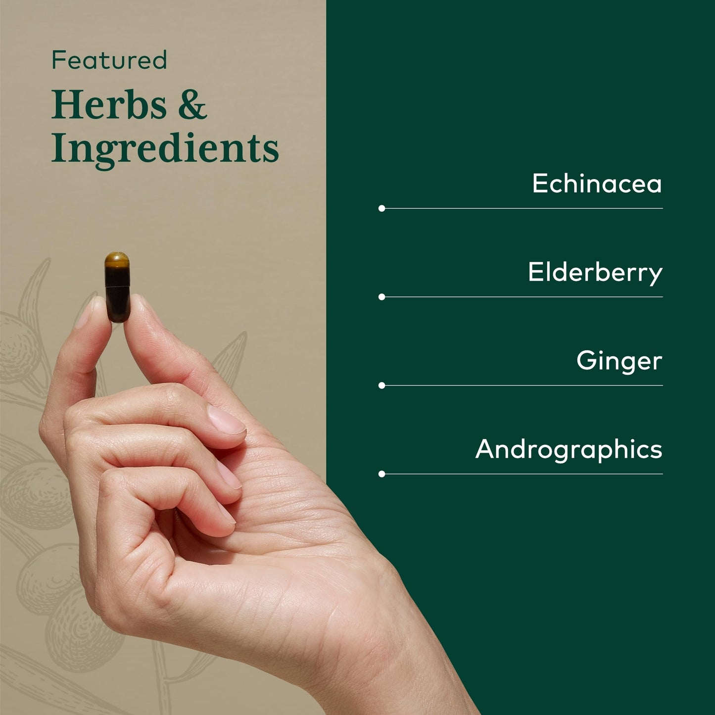Gaia Herbs Pro Immune Activator - Immune Support (Echinacea, Elderberry)