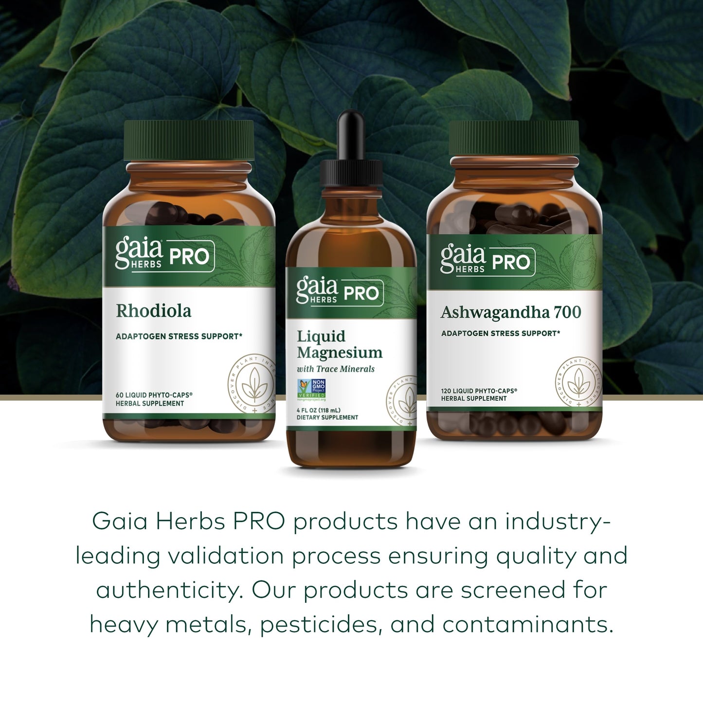 Gaia Herbs Pro Liquid Magnesium with Trace Minerals – Cellular Energy & DNA Support (4 fl oz, 48 Servings)