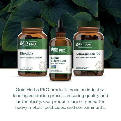 Gaia Herbs Pro Liquid Magnesium with Trace Minerals – Cellular Energy & DNA Support (4 fl oz, 48 Servings)