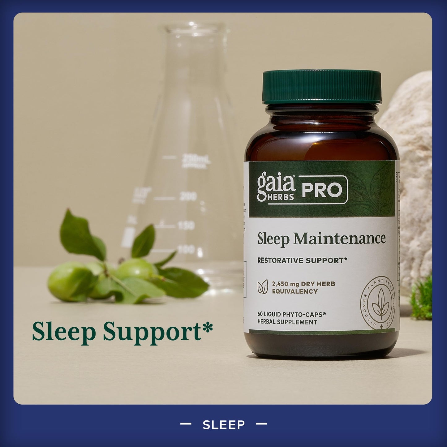 Gaia Herbs PRO Sleep Maintenance | Adrenal Health & Sleep Support (60 capsules)