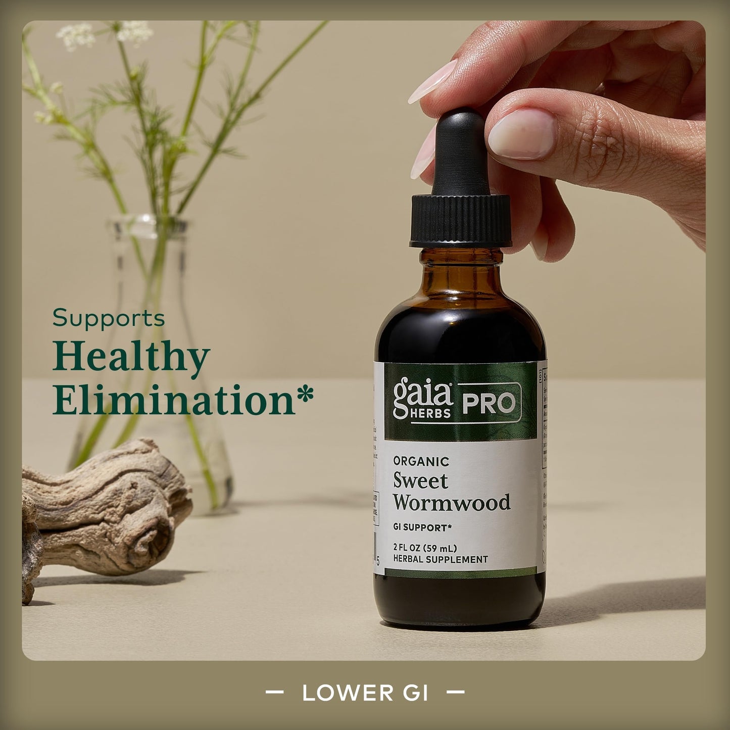 Gaia Herbs Pro Sweet Wormwood - Digestive Health & Elimination Support | 2 fl oz (71 Servings) - Vegan, Gluten-Free & Dairy-Free