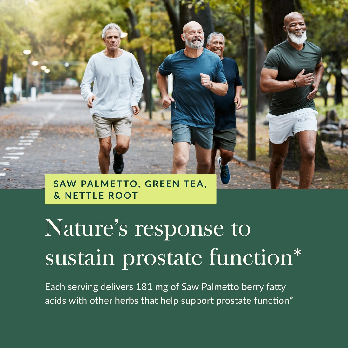 Gaia Herbs Prostate Health – Supports Prostate Function for Men – Saw Palmetto, Green Tea, Nettle Root & White Sage – 60 Vegan Liquid Phyto-Capsules
