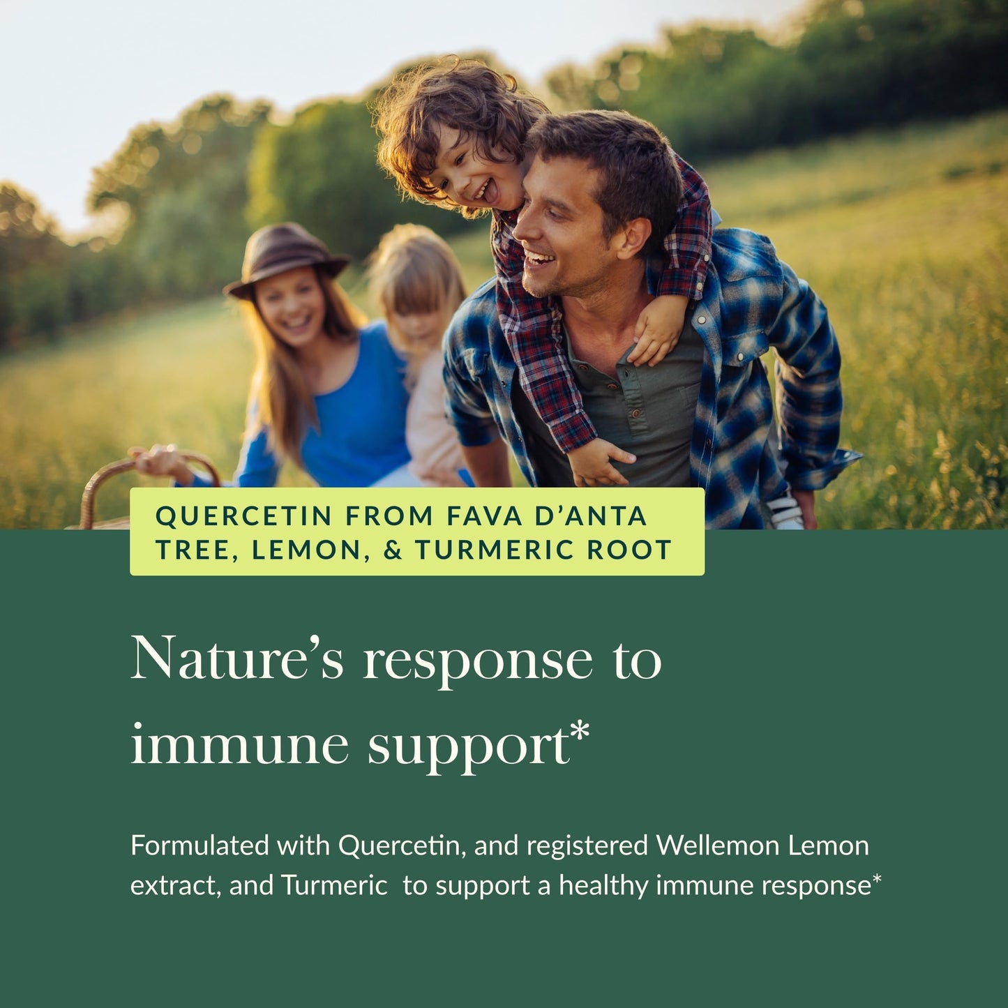 Gaia Herbs Quercetin Synergy - Immunity Support with Lemon Extract - 50 Vegan Capsules