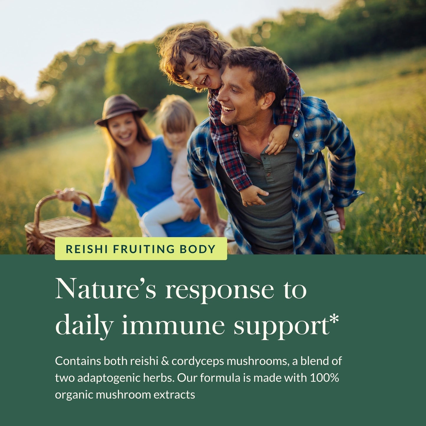 Gaia Herbs Respiratory Mushroom Blend - Immune Support & Lung Health (40 Vegan Capsules)