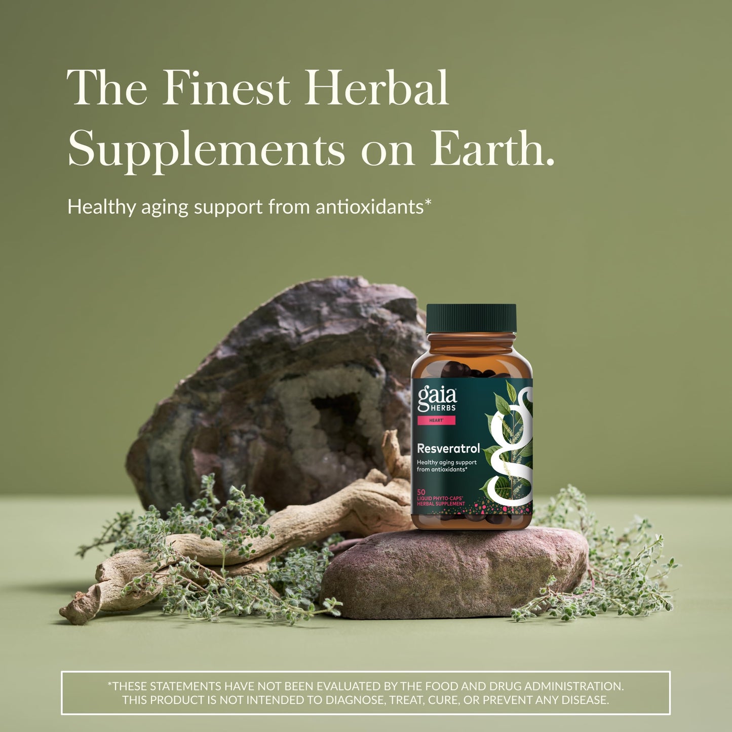 Gaia Herbs Resveratrol 150 mg – Beauty & Radiance Antioxidant Support (50 Liquid Phyto-Capsules)
