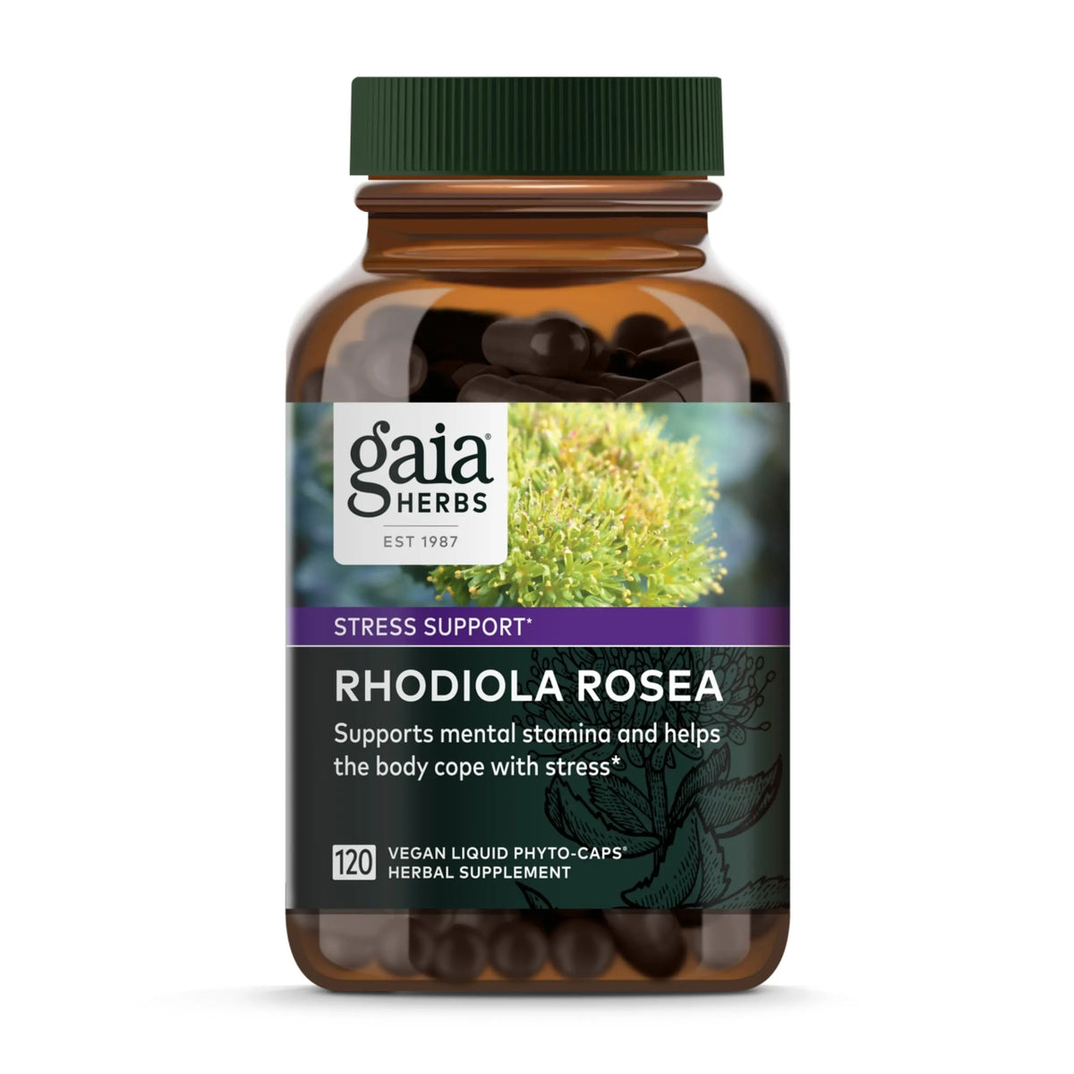 Gaia Herbs Rhodiola Rosea - Stress Support & Endurance - Siberian Root Extract - 120 Vegan Liquid Phyto-Caps (120 Servings) BritishVita | Premium UK Vitamins & Wellness Supplements
