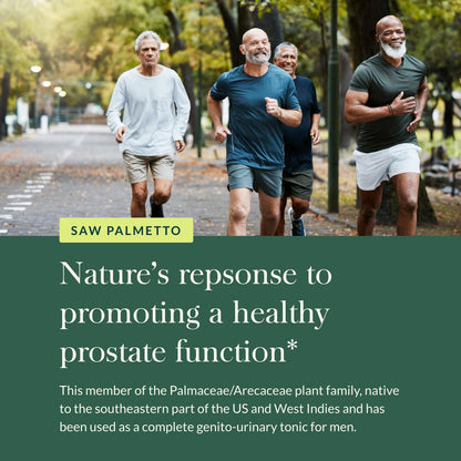 Gaia Herbs Saw Palmetto - Prostate Health Support for Men | 60 Vegan Liquid Phyto-Capsules (30-Day Supply)