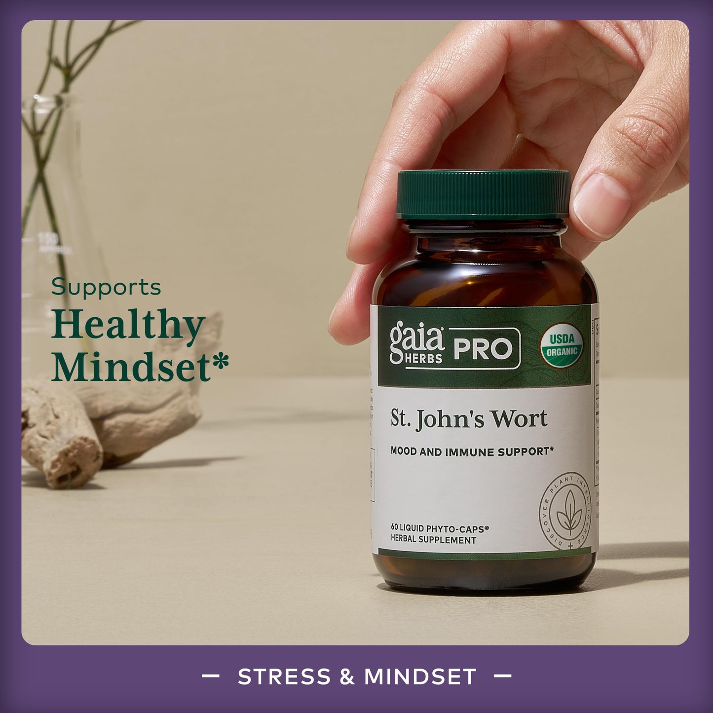 Gaia Herbs Pro St. John's Wort – Immune & Brain Health, 60 Liquid Phyto-Caps (30 Servings)
