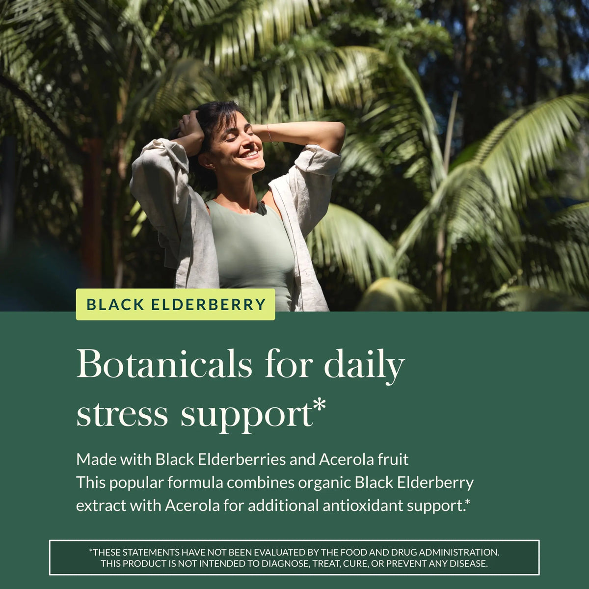 Gaia Herbs Black Elderberry – Daily Immune Support Capsules with Acerola (120 Vegan Capsules, 60 Servings) BritishVita | Premium UK Vitamins & Wellness Supplements