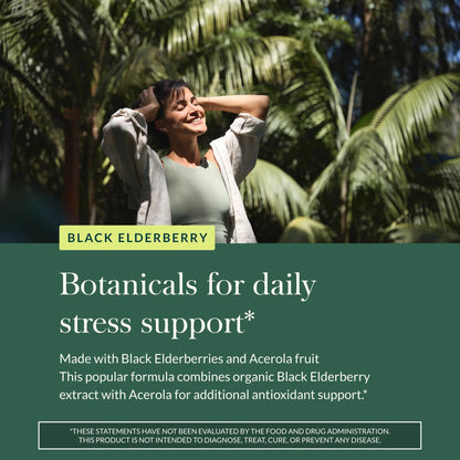 Gaia Herbs Black Elderberry – Daily Immune Support Capsules with Acerola (120 Vegan Capsules, 60 Servings) BritishVita | Premium UK Vitamins & Wellness Supplements