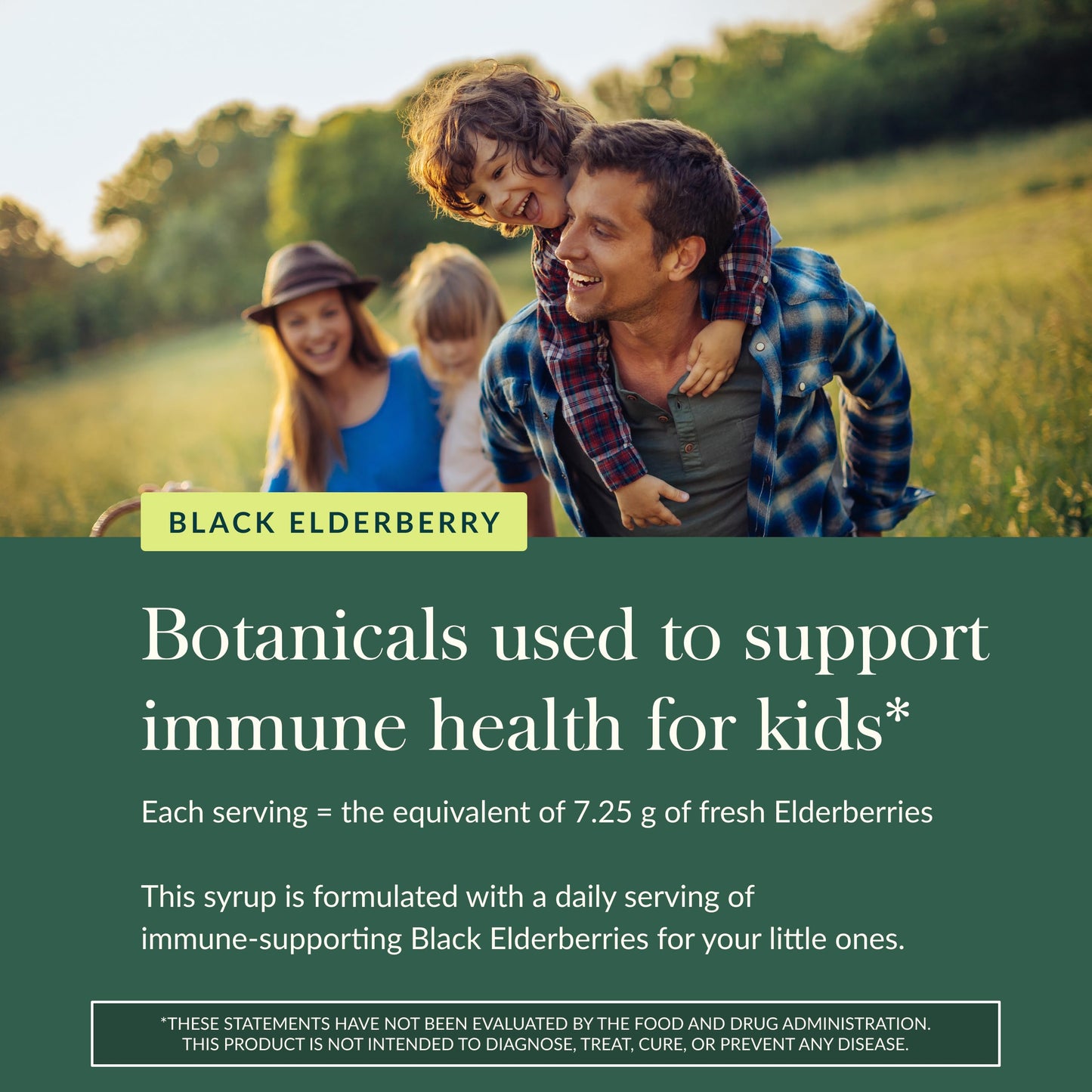 GaiaKids Black Elderberry Syrup for Kids | Gaia Herbs - USDA Organic, 3 fl oz
